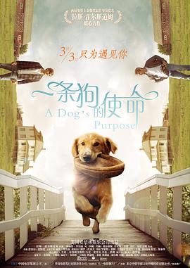 白洁与高义全文阅读笔趣阁